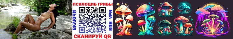 Псилоцибиновые грибы GOLDEN TEACHER  Шарья 