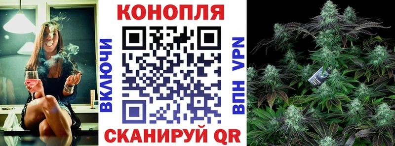 Бошки Шишки White Widow  купить наркотик  Шарья 